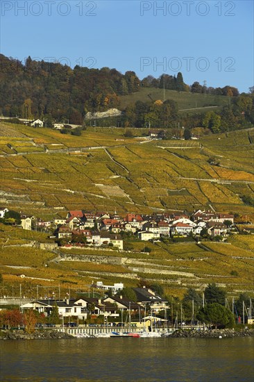 Vineyards in autumn with wine village Epesses