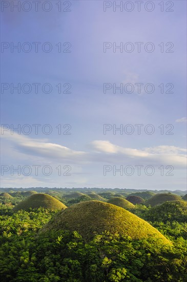 Chocolate Hills