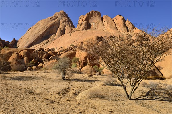 Spitzkoppe