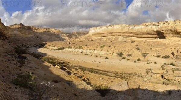 Limestone canyon of Wadi Shuwaymiyah