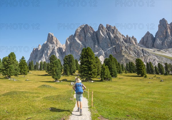 Hikers on the hiking trail near the Gschnagenhardt Alm