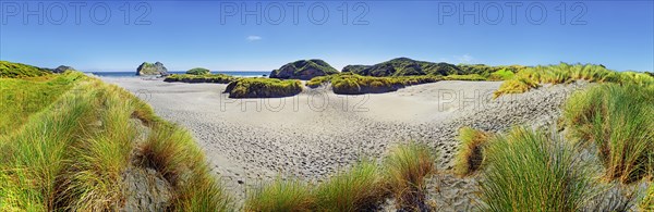 Sandy beach with grassy dunes