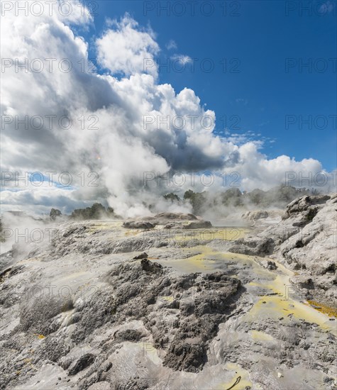 Steaming Pohutu Geyser and Prince of Wales Feathers Geyser