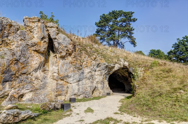 Vogelherd Cave