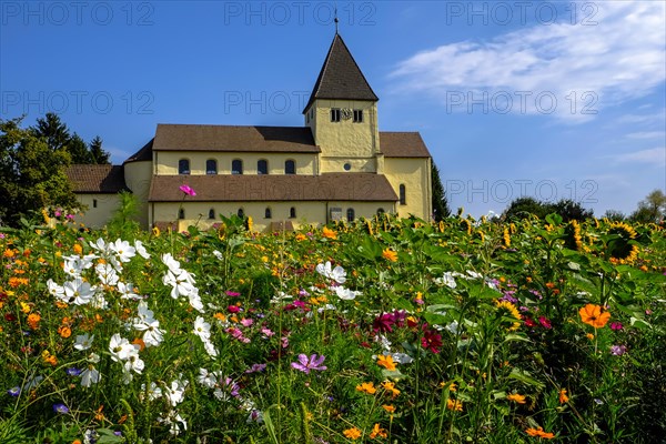 Meadow of flowers in front of George Church