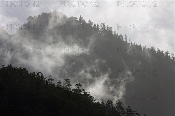 Mountains