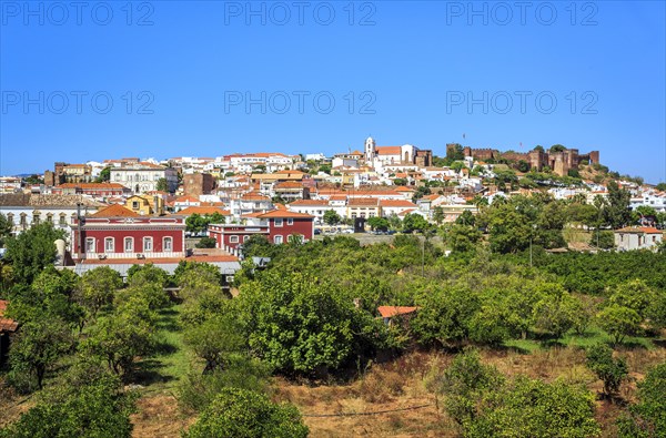 Cityview with medieval cathedral and castle