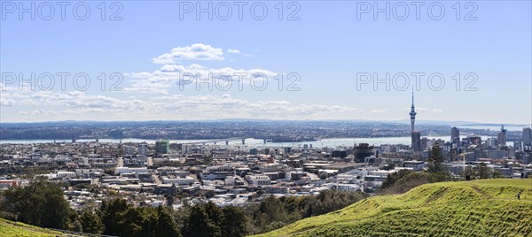 View from Mount Eden