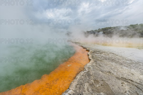 Champagne Pool