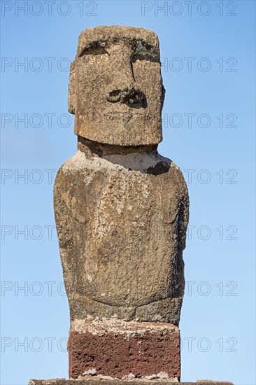 Moai in the Ahu Tahai Complex