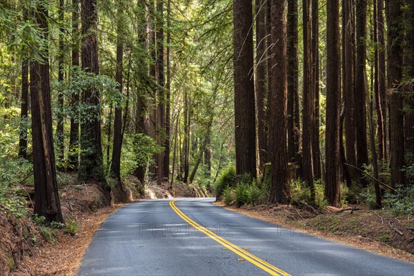 Curvy road