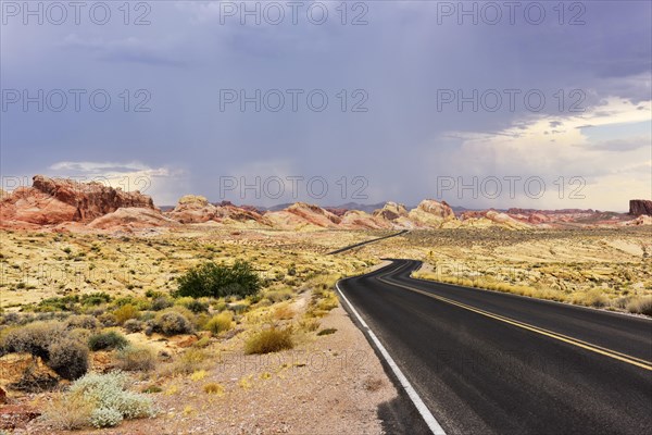 Lonely road through desert