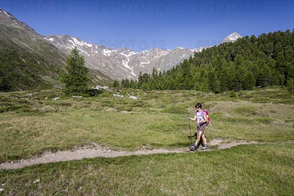 Mountaineer ascending the Kortscher Schafsberg in Schnals in Lagauntal