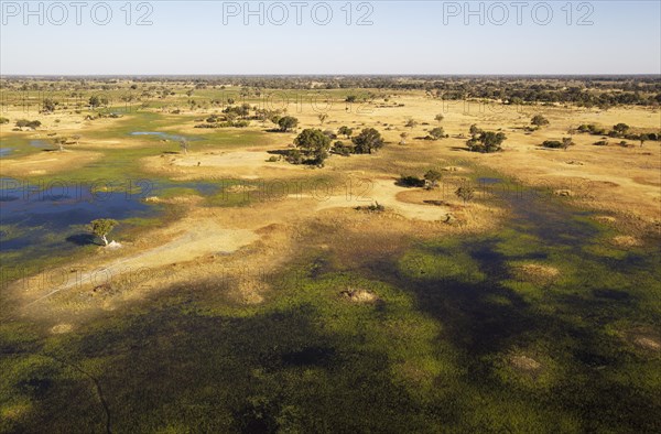 Freshwater marshes with streams