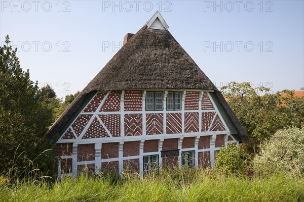 Thatched cottage