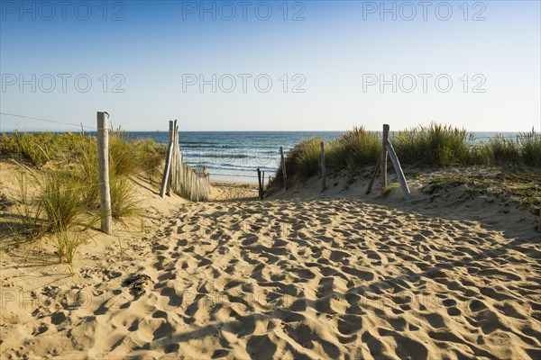 Way through the dunes to the beach