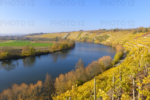 Neckar loop near Kirchheim am Neckar