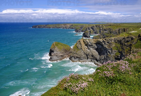 Rocky Coast Bedruthan Steps