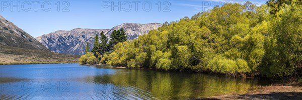 Lake Pearson