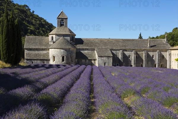 Romanesque Cistercian Abbey Notre Dame of Senanque