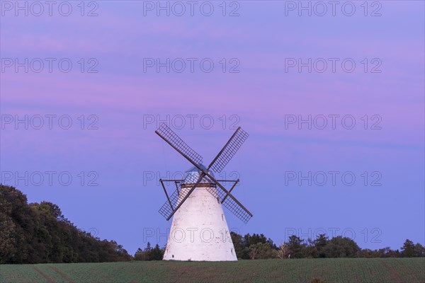 Dutch windmill in evening light
