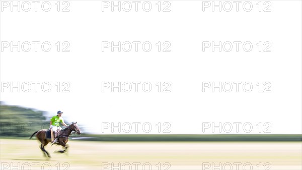 Polo player on horseback