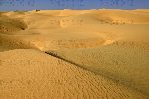 Sanddunes of Al Khaluf desert