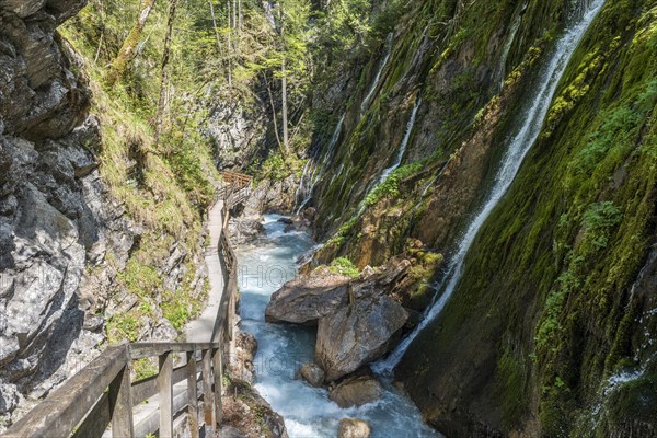 Boardwalk along Wimbach stream