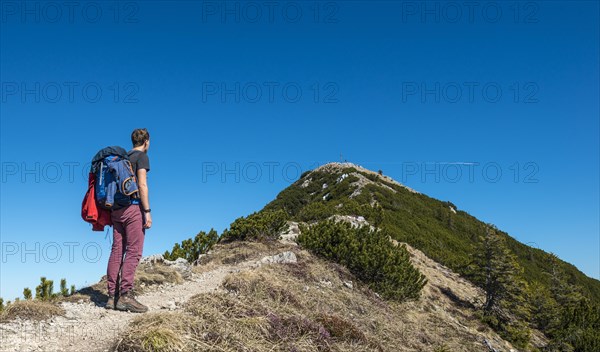 Hiker on ridge