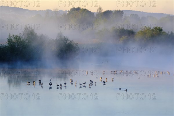 Fog in the sunrise