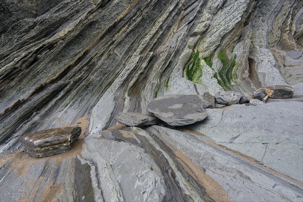 Flysch