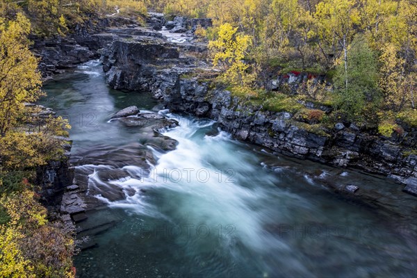 Autumnal Abisko Canyon