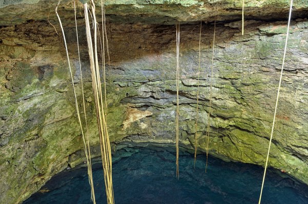 Cenote