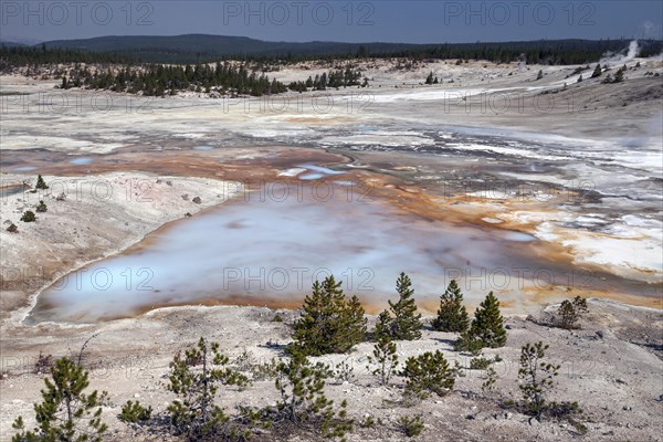 Geysers