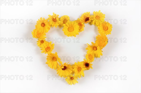 Heart of yellow flowers