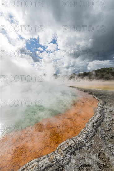 Champagne Pool