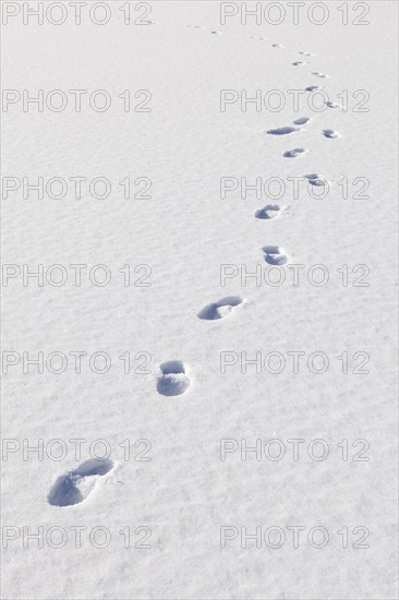 Footprints