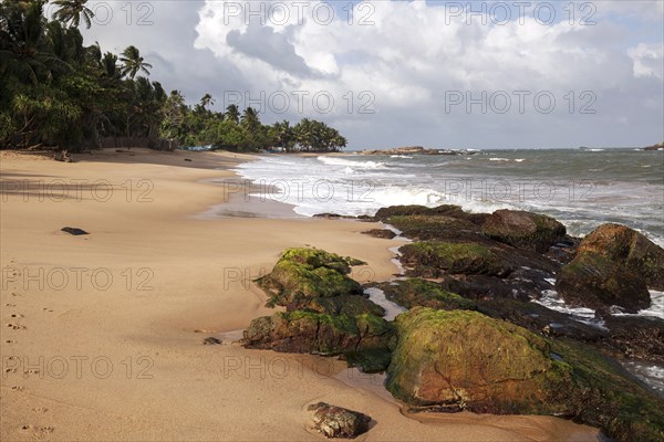 Sandy beach with palm trees and rocks