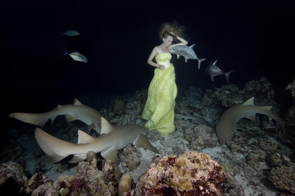 Beautiful woman in yellow dress posing underwater with Tawny nurse sharks