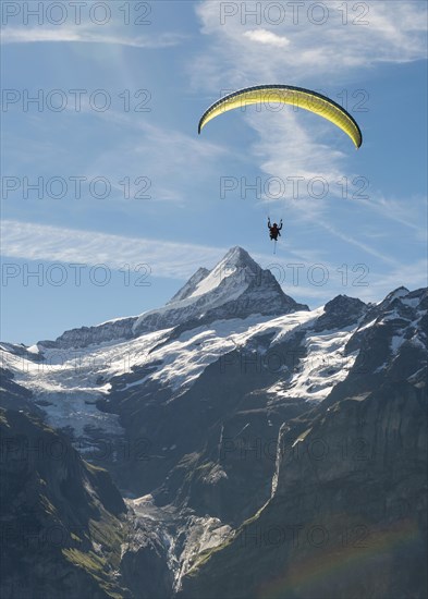 Paraglider flying in the sky