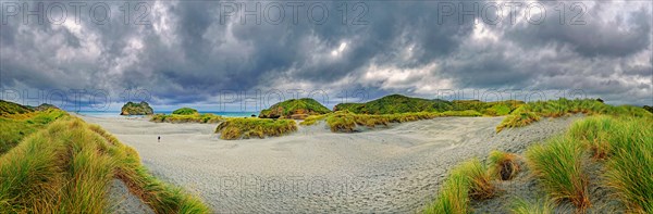 Sandy beach with grassy dunes