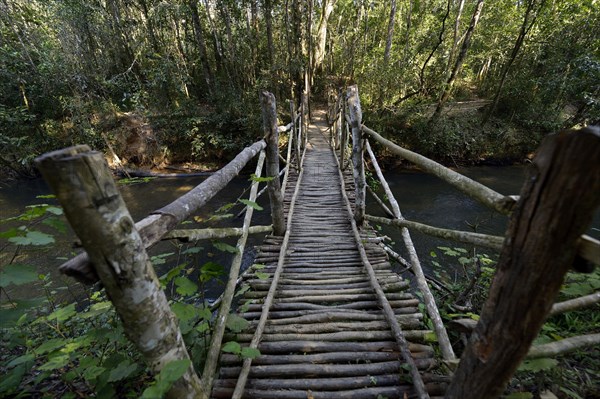 Wooden bridge