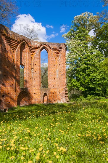 Monastery ruins of Boitzenburg