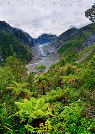 Fox Glacier and Fox River