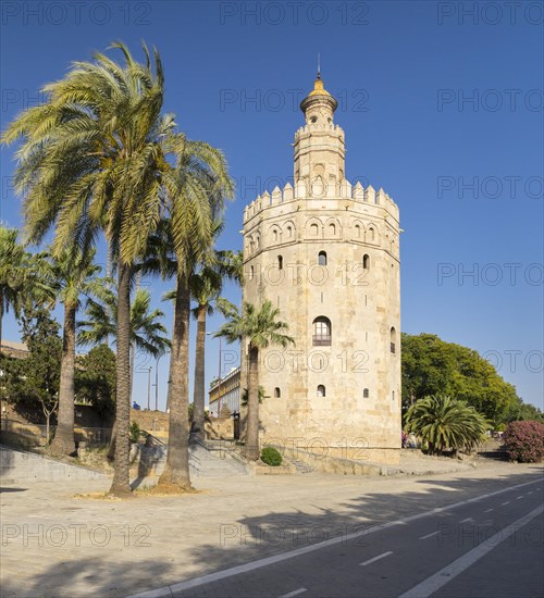 Torre del Oro