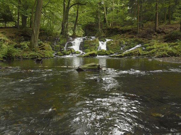 Mountain stream Selke