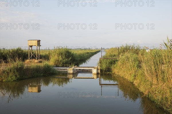 Typical landscape of the Ebro Delta with canals