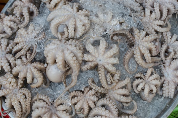 Octopus on ice at a street market