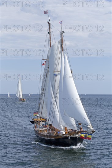 Sailboat Qualle