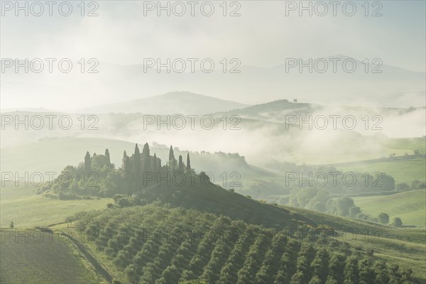 Podere Belvedere